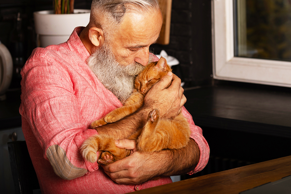Äldre Man I Rosa Skjorta Sitter Med Orange Katt I Famnen Och Gosar