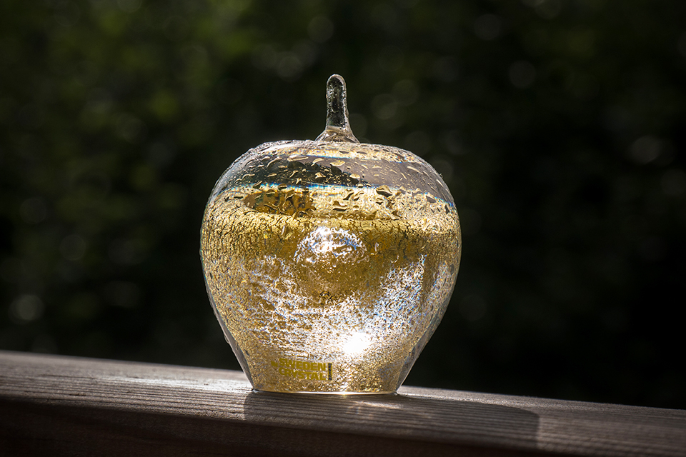 Skolan, Digitalisering, Guldäpplet