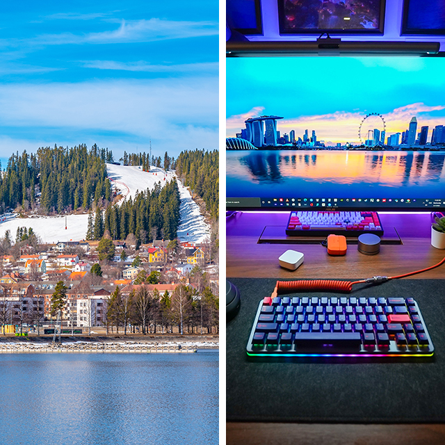 Tudelad Bild Med Frösön Och En Speldator Square