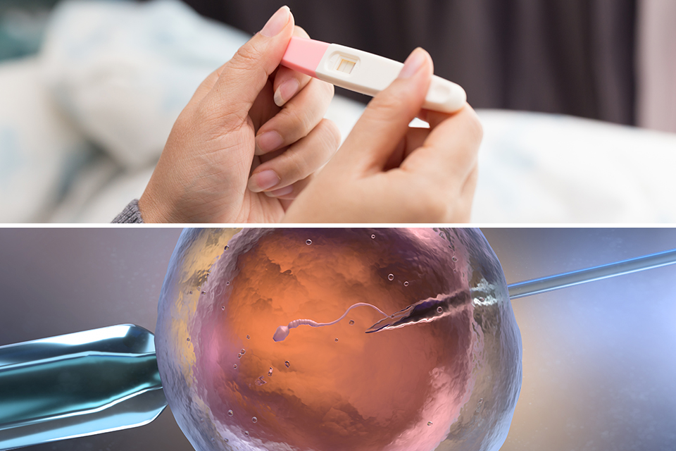 Gravidtest Och Ivf; Ai, Malmö, Forskning