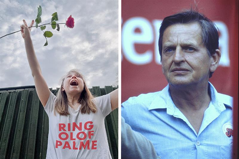 Anhängare Av Ai Partiet; Olof Palme; Ai, Demokrati