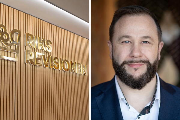 Myndigheters it-projekt ofta försenade och dyra – expert: